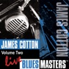 James Cotton - Boogie Thing