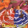 Coleccion Oro - Cumbias, Vol. 15, 2009