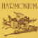 Un musicien parmi tant d’autres - Harmonium