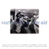 Surrender to the Air album lyrics, reviews, download