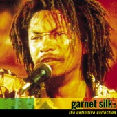 The Definitive Garnet Silk artwork