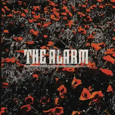 In the Poppy Fields - The Alarm