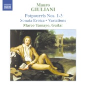 Giulini: Guitar Music Vol.2 - Potpourris artwork