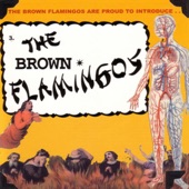 The Brown Flamingos - This Might Be the Coffee Talkin'