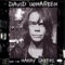 James Alley Blues - David Johansen & The Harry Smiths lyrics