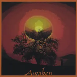 Awaken - Awaken