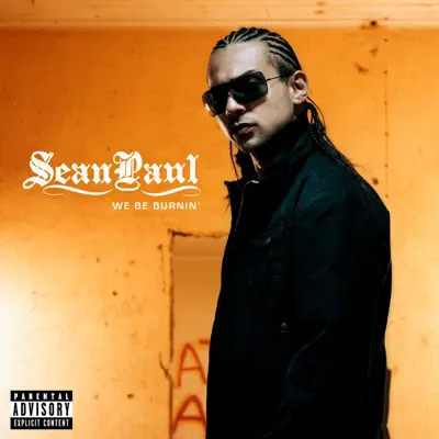 We Be Burnin' - Single - Sean Paul