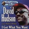 The Legendary Henry Stone Presents: David Hudson, Featuring Honey Honey, I Got What You Want, 2005