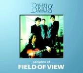 Complete of Field of View - At the Being Studio artwork