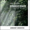 Forest Rays: Ambient Grooves