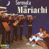 Serenata Con Mariachi artwork