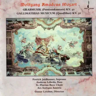 Gallimathias Musicum, KV 32 (Quodlibet) - VI. Allegretto by Ars Antiqua Austria, Gunar Letzbor & St. Florian Boy's Choir song reviws