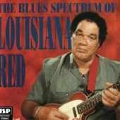 The Blues Spectrum of Louisiana Red artwork