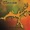 Ashok Prema - Yesterday's Tears