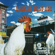 Balkan Beat Box - Balkan Beat Box