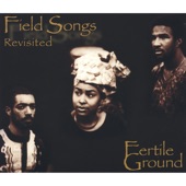 Field Songs Revisited artwork