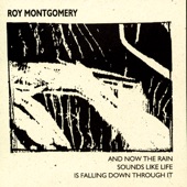 Roy Montgomery - Kafka Was Correct