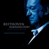 Symphony No. 7 in A Major, Op. 92: IV. Allegro con brio artwork