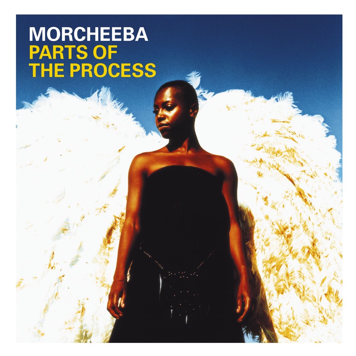 ‎Parts Of The Process By Morcheeba On Apple Music