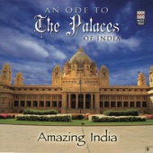 Amazing India - An Ode to the Palaces of India artwork