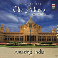 Taufiq Qureshi - Amazing India - An Ode to the Palaces of India artwork