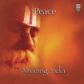 Amazing India - Peace artwork