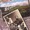 Kort & Beth McCumber - Down In The River To Pray