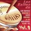Las Mejores Gaitas Vol. 2