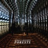 Forests EP artwork