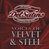 Voices of Velvet & Steel, 2015