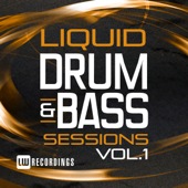 Liquid Drum & Bass Sessions, Vol. 1 - Various Artists