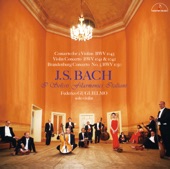 J.S.Bach:Concerto for 2 Violins BWV1043 artwork