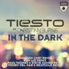 Stream & download In the Dark (feat. Christian Burns) [Remixes] - EP