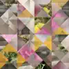 Morning Gate (feat. Beth Rowley) - Single album lyrics, reviews, download