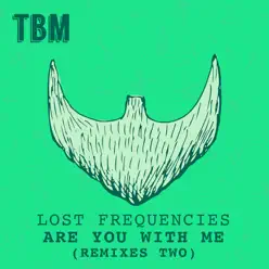 Are You With Me (Remixes II) - Lost Frequencies