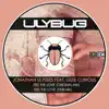 Feel the Love (feat. Lizzie Curious) - Single album lyrics, reviews, download