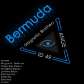 Bermuda (Invisible Sounds remix) artwork