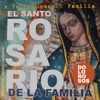 Rosario de la Familia (Dolorosos), 2014