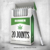 20 Joints artwork
