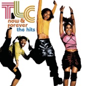 Girl Talk (Radio Mix) by TLC