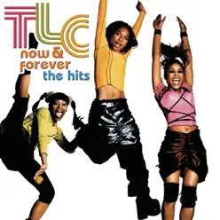 Now & Forever: The Hits - TLC