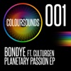 Planetary Passion EP (feat. Culturgen) - Single