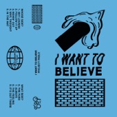 I Want To Believe artwork