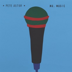 MR MUSIC cover art