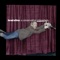 Airport Security - Brad Stine lyrics