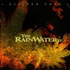 The Rainwater Lp artwork