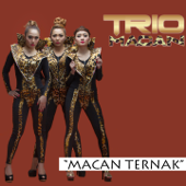 Macan Ternak - Trio Macan