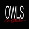 Stream & download Owls - Single