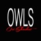 Owls - Ori Shochat lyrics