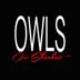 Owls - Single album cover